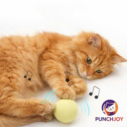 Interactive Dog & Cat Ball — Soft & Colorful Chew Toy (EVA or Plush)