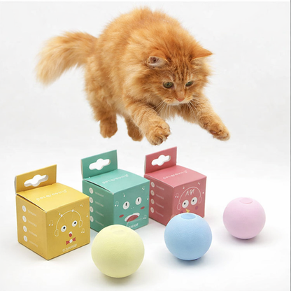 Interactive Dog & Cat Ball — Soft & Colorful Chew Toy (EVA or Plush)