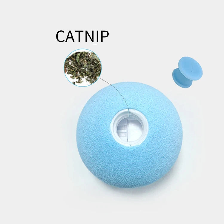 Customized Logo Newest Plush Ball Toy Interactive Cat Chew Pet Dog Toys